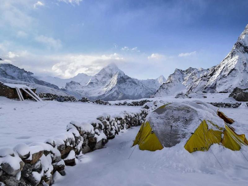 Ex arcu class nibh maecenas sed commodo platea dictumst taciti enim rutrum fames litora