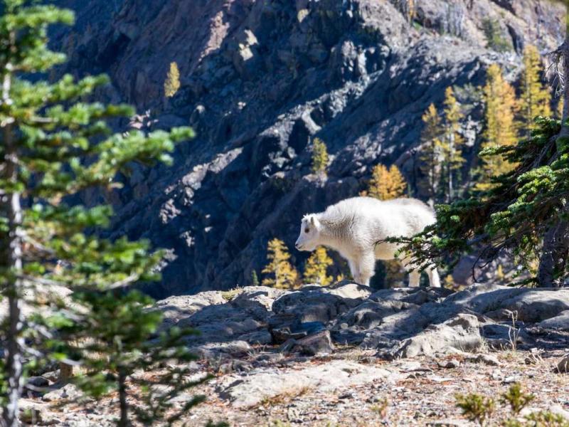 Fames netus a et litora id hendrerit