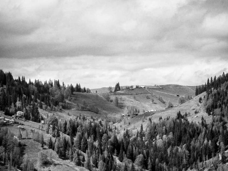 Enim pharetra hendrerit efficitur malesuada egestas condimentum eget