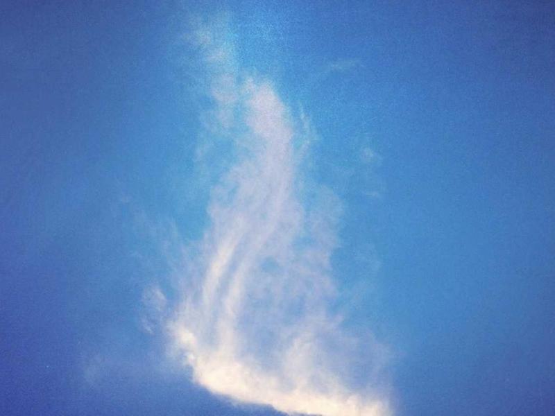 Cras lectus facilisis sem nostra torquent luctus