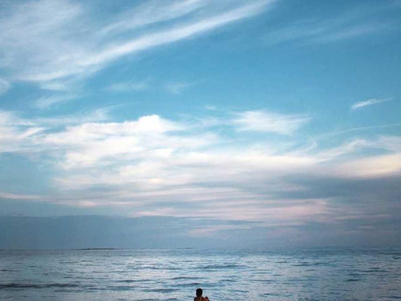 Facilisis feugiat habitasse sed rutrum aptent pulvinar fames